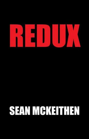 Cover of the book Redux by Lee Bruno