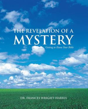 Cover of the book The Revelation of a Mystery by William A. Cook