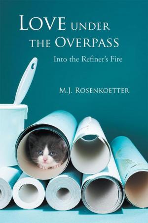 Cover of the book Love Under the Overpass by Jennifer Morin, Sherry Rose