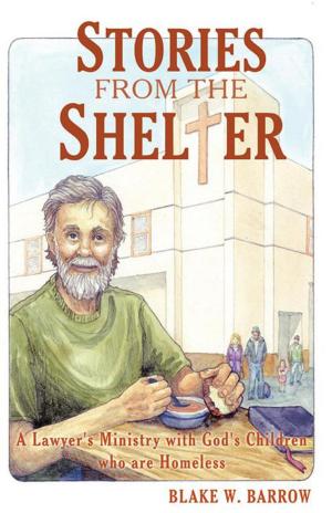 Cover of the book Stories from the Shelter by P. David Haynie