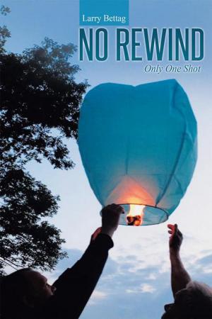 Cover of the book No Rewind by Gary R. Goetz