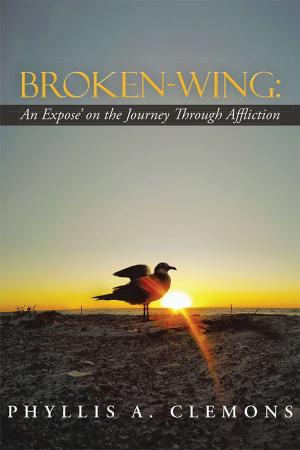 Cover of the book Broken-Wing: an Expose' on the Journey Through Affliction by Tracey Fields