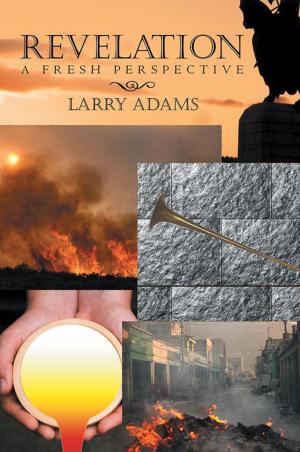 Cover of the book Revelation by Michael Foley