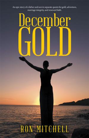 Cover of the book December Gold by Bill DeKlavon Jr.