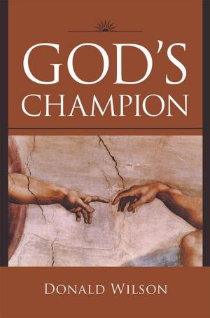 Book cover of God’S Champion