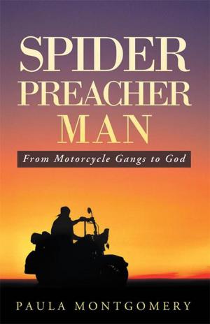 Cover of the book Spider Preacher Man by Lisa Chambers