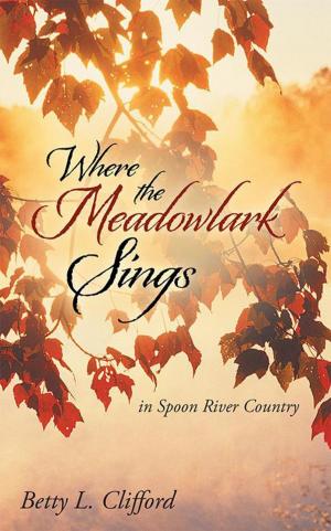 Cover of the book Where the Meadowlark Sings by Dan Ver Woert