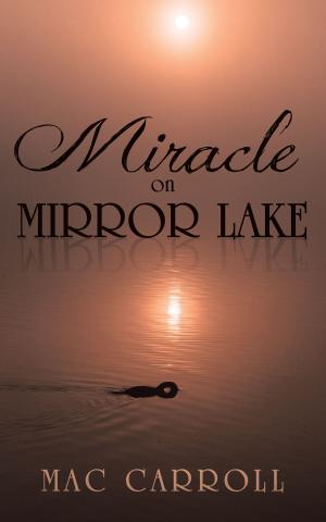 Cover of the book Miracle on Mirror Lake by Lizzy Iweala