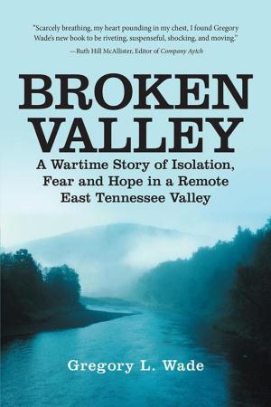 Cover of the book Broken Valley by Kassandra K. Swann