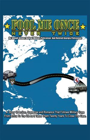 Cover of the book Fool Me Once, Never Twice by Roger A. MacDonald
