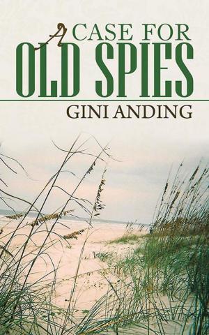 Cover of the book A Case for Old Spies by Todd LaRoche