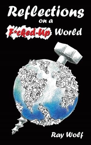 Cover of the book Reflections on a F*Cked-Up World by Dan Martin