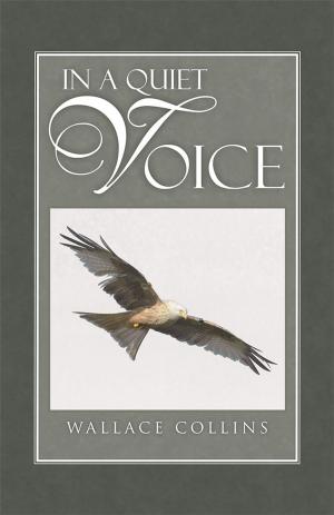 Cover of the book In a Quiet Voice by Patti Witter
