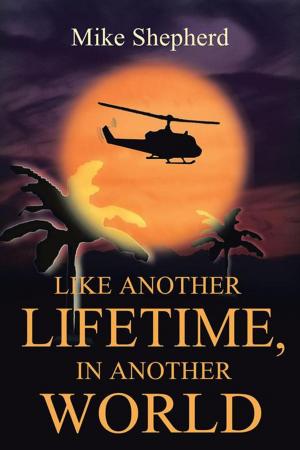 Book cover of Like Another Lifetime in Another World