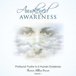 Cover of the book Awakened Awareness by Philip Joe Zamora 2