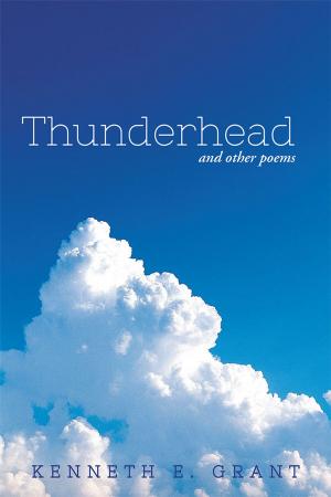 Cover of the book Thunderhead by Susan Loucks Christensen