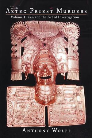 Book cover of The Aztec Priest Murders