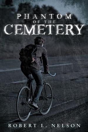 bigCover of the book Phantom of the Cemetery by 