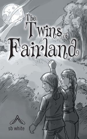 Cover of the book The Twins of Fairland by Bedida Lynn BRUNOIR