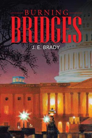 Book cover of Burning Bridges