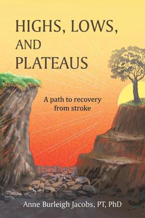 Cover of the book Highs, Lows, and Plateaus by Duane Andry