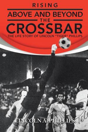 Cover of the book Rising Above and Beyond the Crossbar by Peter Schrag