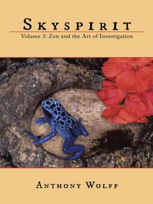 Cover of the book Skyspirit by Arthur C. Evans Jr.