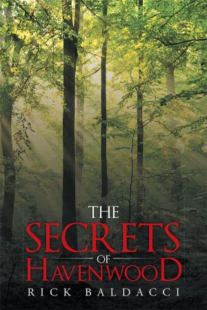 Cover of the book The Secrets of Havenwood by Deb Quinlan