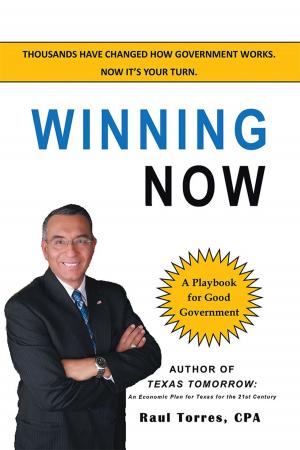 Cover of the book Winning Now by Douglas W. Lipp