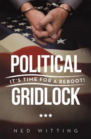 bigCover of the book Political Gridlock by 