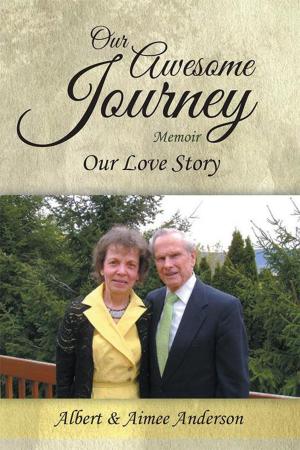 bigCover of the book Our Awesome Journey by 