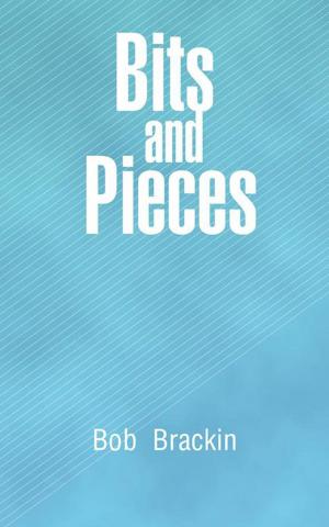Book cover of Bits and Pieces