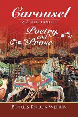 Cover of the book Carousel by J J Ginty