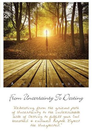 Cover of the book From Uncertainty to Destiny by Christopher M. Bonner