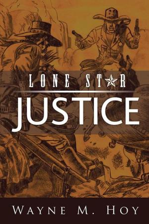 Cover of the book Lone Star Justice by Barbara Ann Mary Mack.