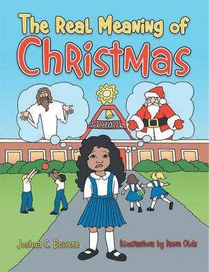Cover of the book The Real Meaning of Christmas by M.G. Mosby