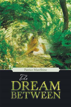 Cover of the book The Dream Between by H.A. Larson