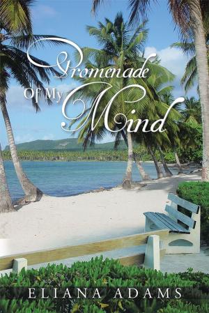 Cover of the book Promenade of My Mind by Darnel “Pimpy Dee” Sanchez