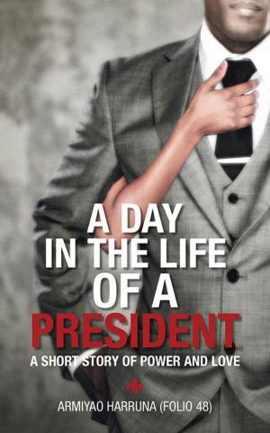 Cover of the book A Day in the Life of a President by Monte C. Fast