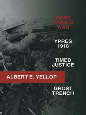 Book cover of First World War