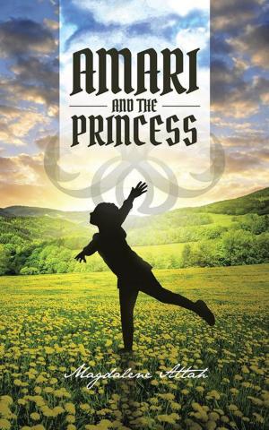 Cover of the book Amari and the Princess by Francis S E Codjoe Jnr.