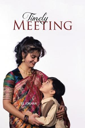 Cover of the book Timely Meeting by Patricia Foster