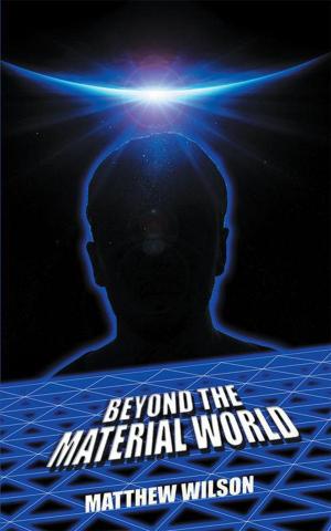 bigCover of the book Beyond the Material World by 