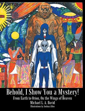 Cover of the book Behold, I Show You a Mystery! by Allan Wood