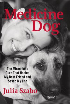 Book cover of Medicine Dog