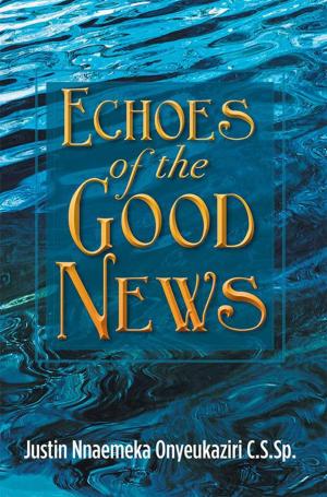 Cover of the book Echoes of the Good News by David B. Beckwith