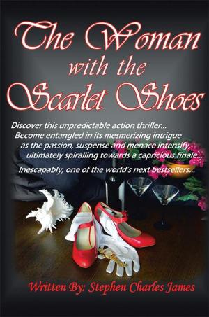 Book cover of The Woman with the Scarlet Shoes