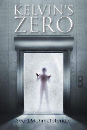bigCover of the book Kelvin's Zero by 