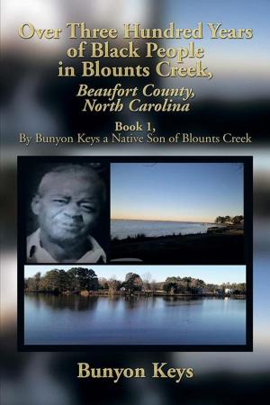 Cover of the book Over Three Hundred Years of Black People in Blounts Creek, Beaufort County, North Carolina by Freddie Johnson Jr