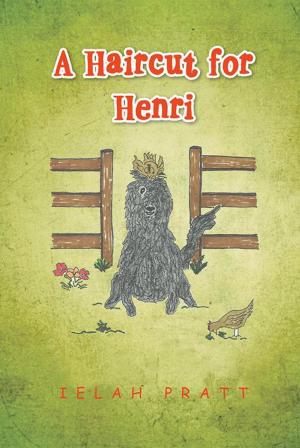 Cover of the book A Haircut for Henri by E. Faith Stewart